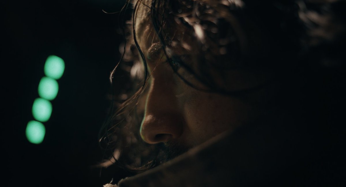 BF Distribution LATAM tweet media