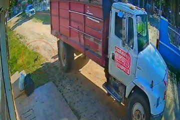 soy_502's tweet photo. 😡 Recolector mata un perro chihuahua con una bolsa de basura en Petén (video)

En las imágenes se observa a un integrante del tren de aseo lanzar una bolsa que impacta al animal.

https://t.co/ZL3cLtMmaJ https://t.co/cNYarWdH8p