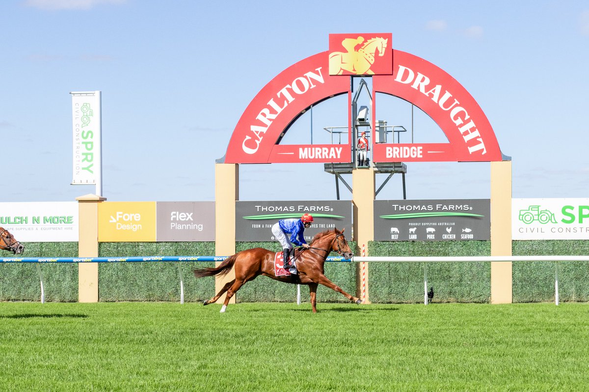 PRIME THOROUGHBREDS tweet media