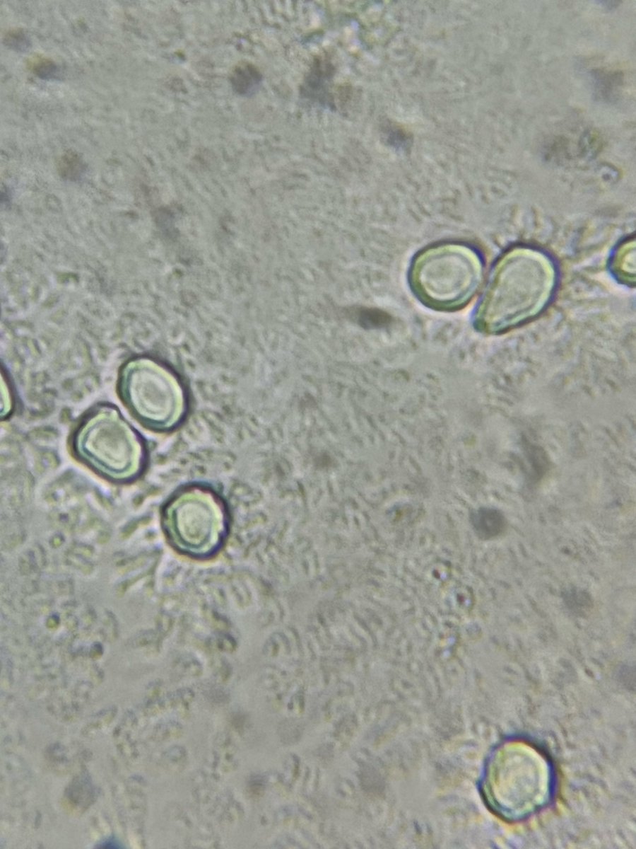 microbialDM tweet picture