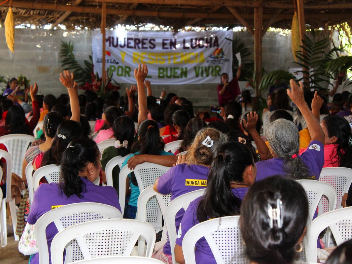 CODECA GT tweet media