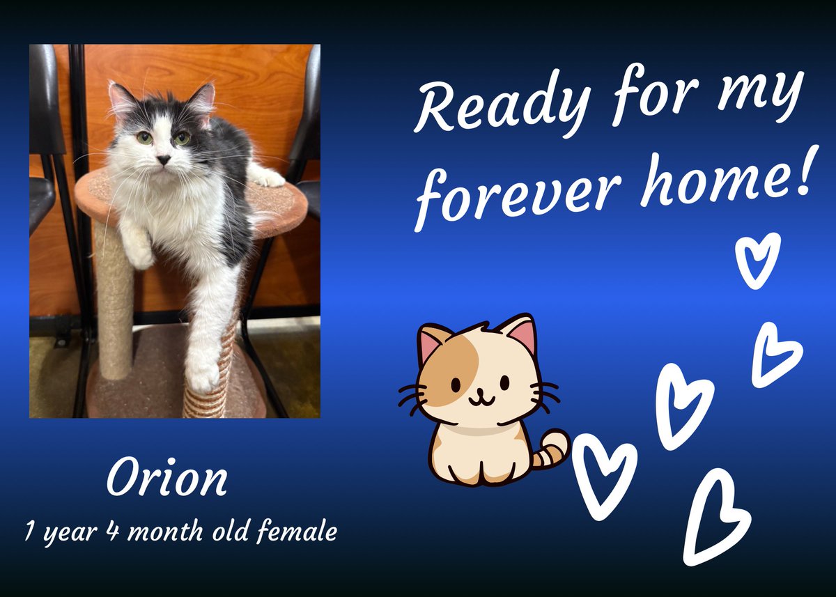 K-FROG Radio tweet media