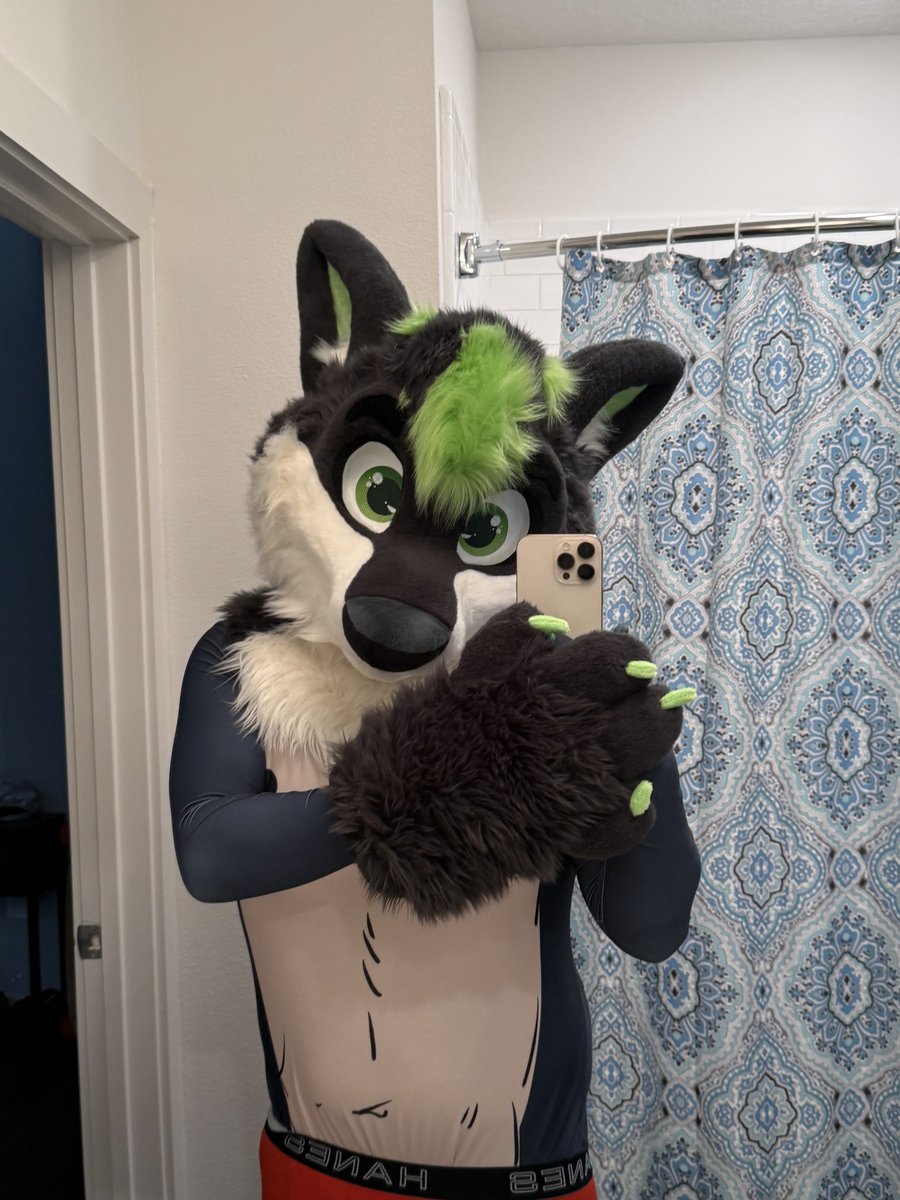 Zeph Wolf 🔜 FWA, AC 🪢🔞 tweet media