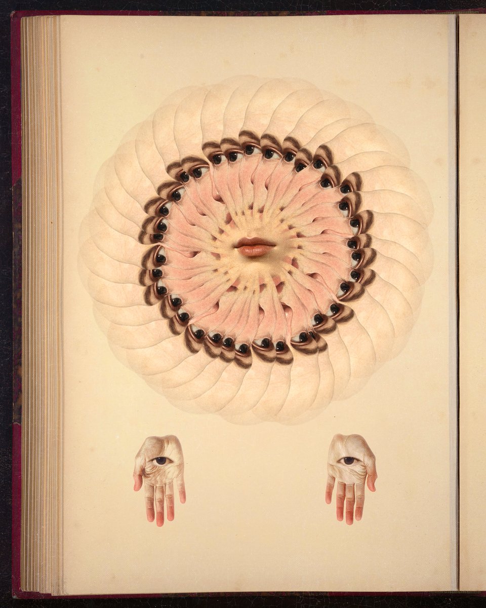 mendezmendez tweet media