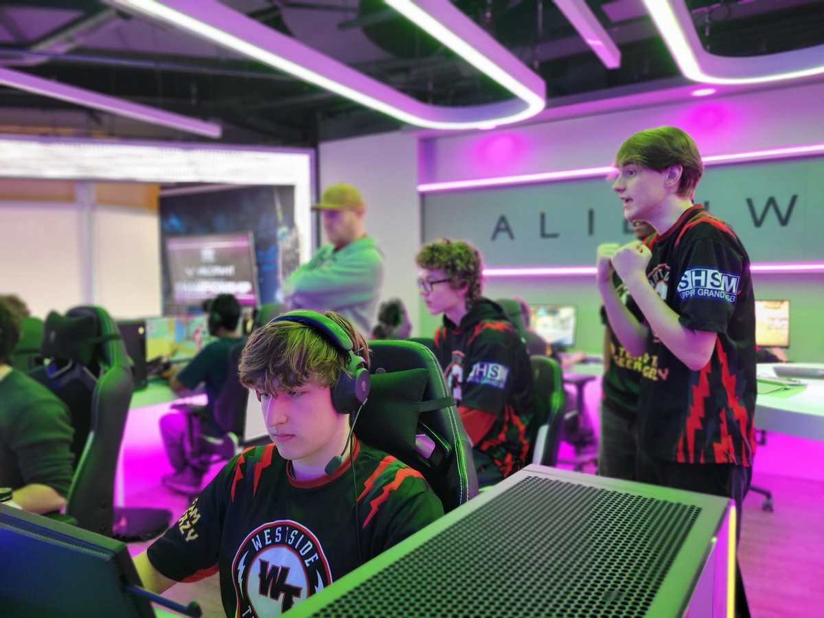 OSEA | AOSES tweet media