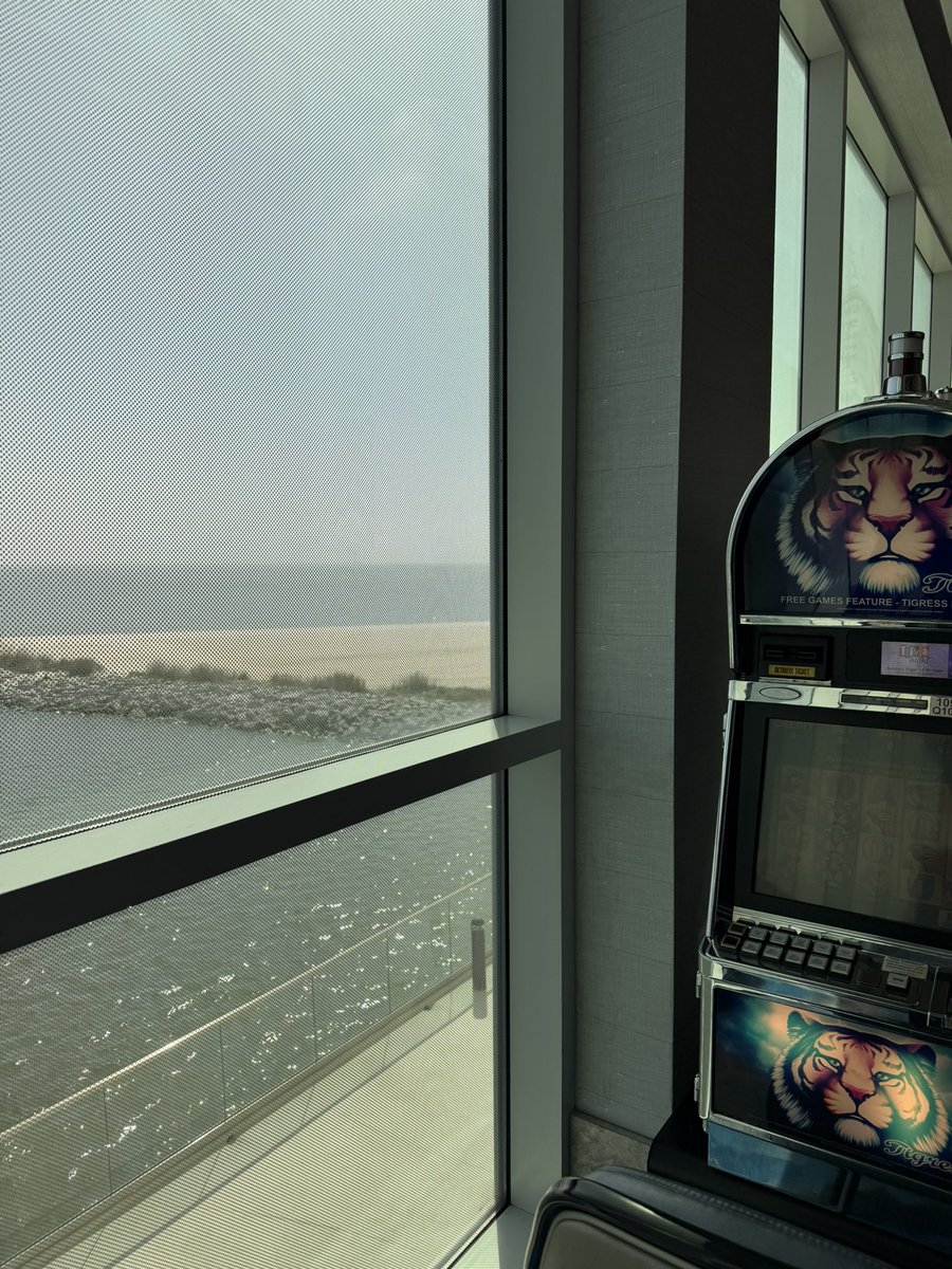 Jeff Mapson tweet media