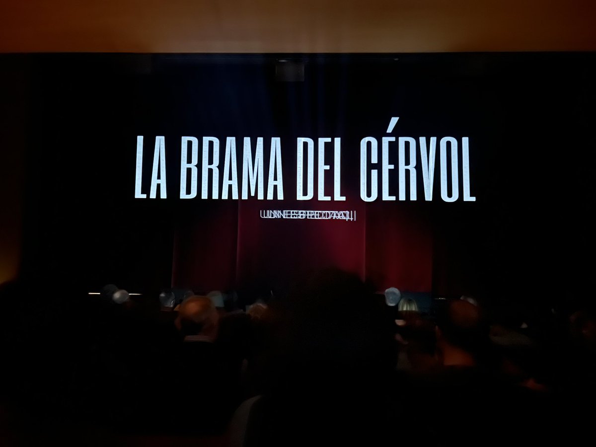 Anna Chillida tweet media