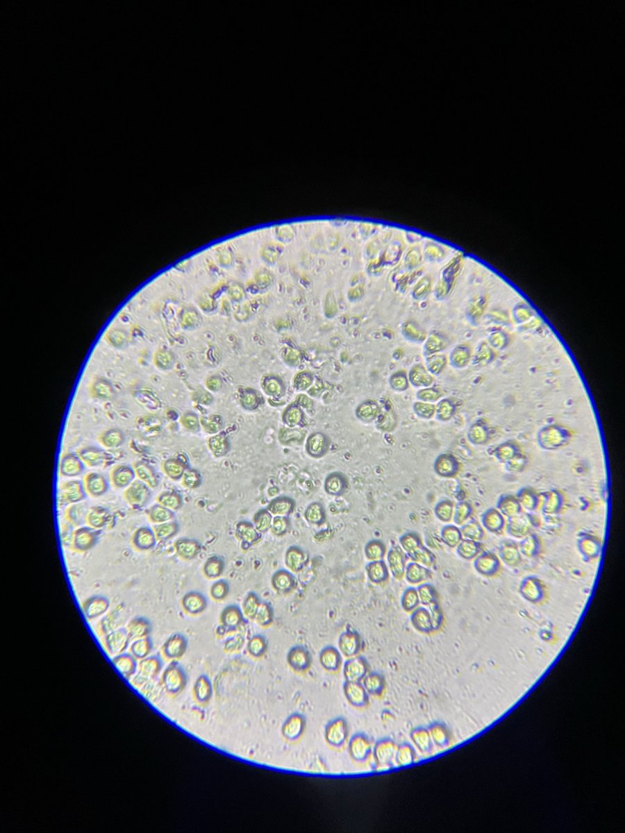 microbialDM tweet picture