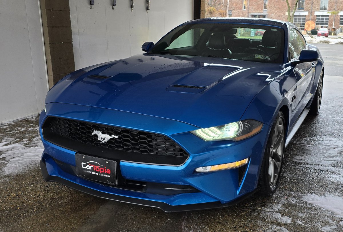 TF Dudley__ | Streamer | Former Zookeeper tweet media