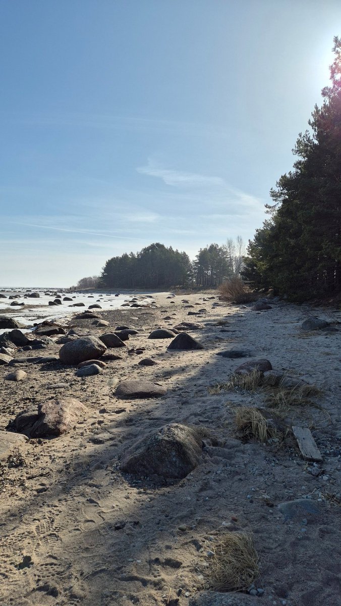 Inese Polaka 🇱🇻❤️🇺🇦 tweet media