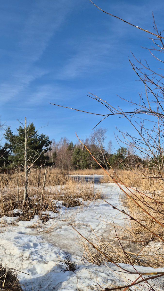 Inese Polaka 🇱🇻❤️🇺🇦 tweet media