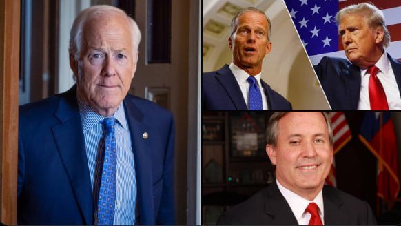 Stand Up For Trump tweet media