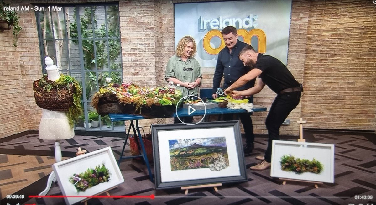 Irish Grown Wool Council tweet media