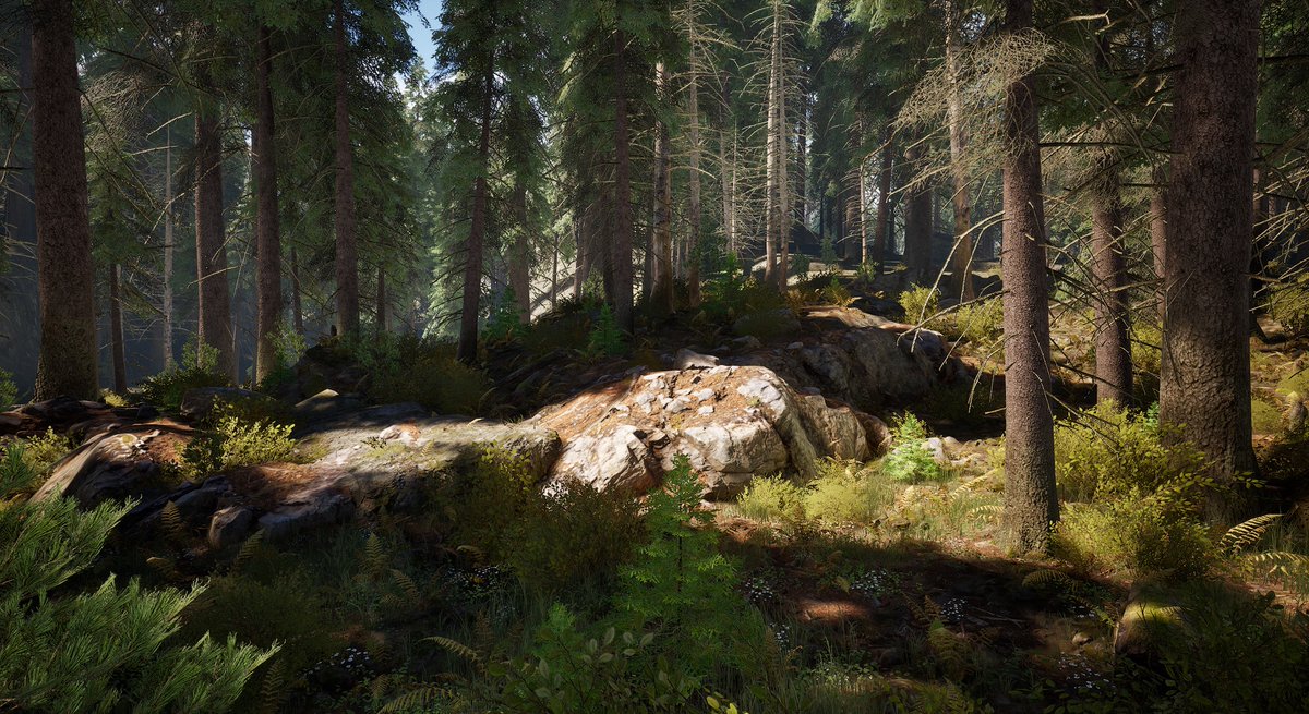 Andrei Ghenoiu tweet media