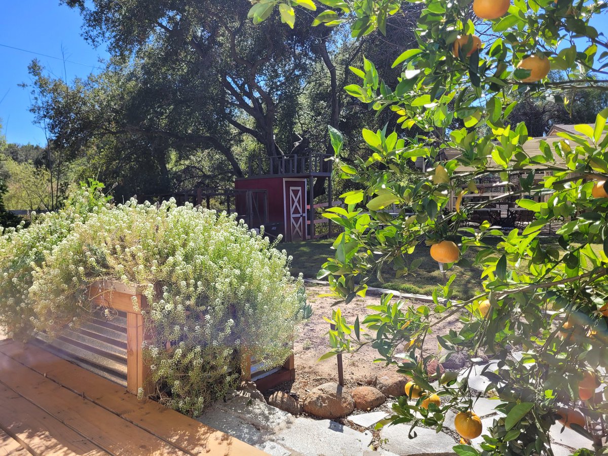 Deep Learning tweet media