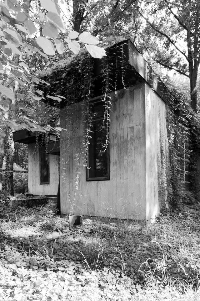 TRES60 blog tweet media