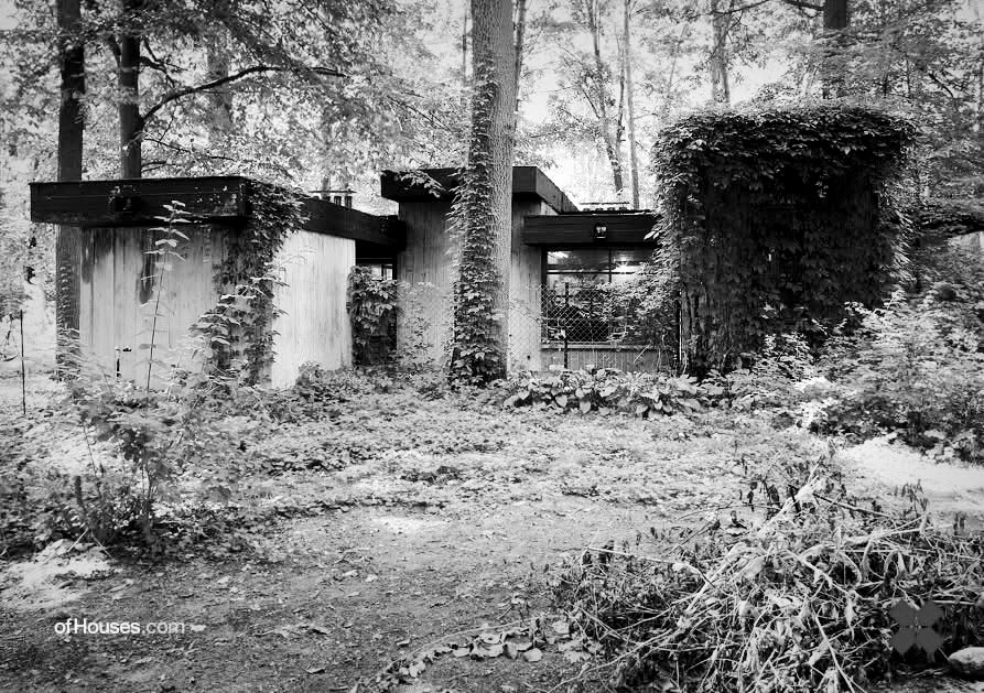 TRES60 blog tweet media