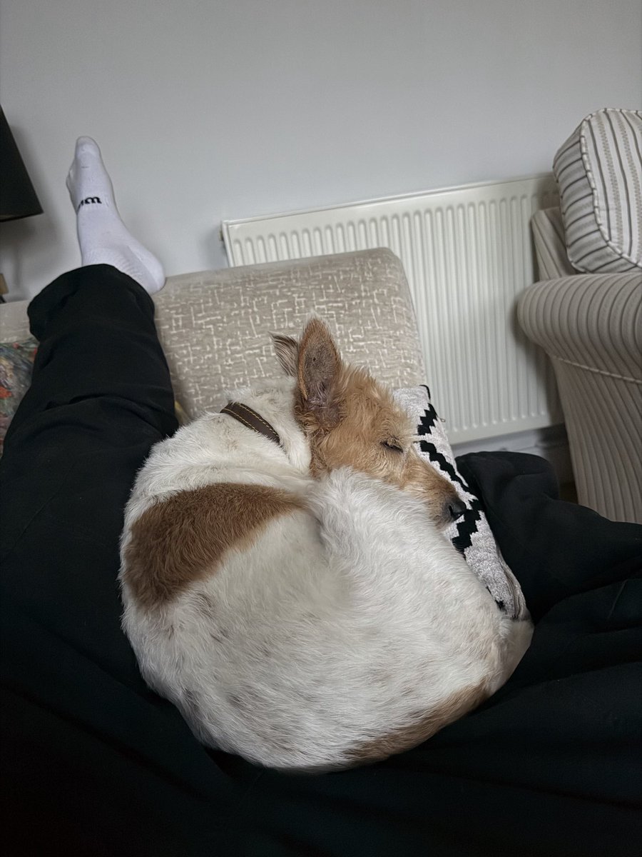 Jake Aston 🤩 tweet media