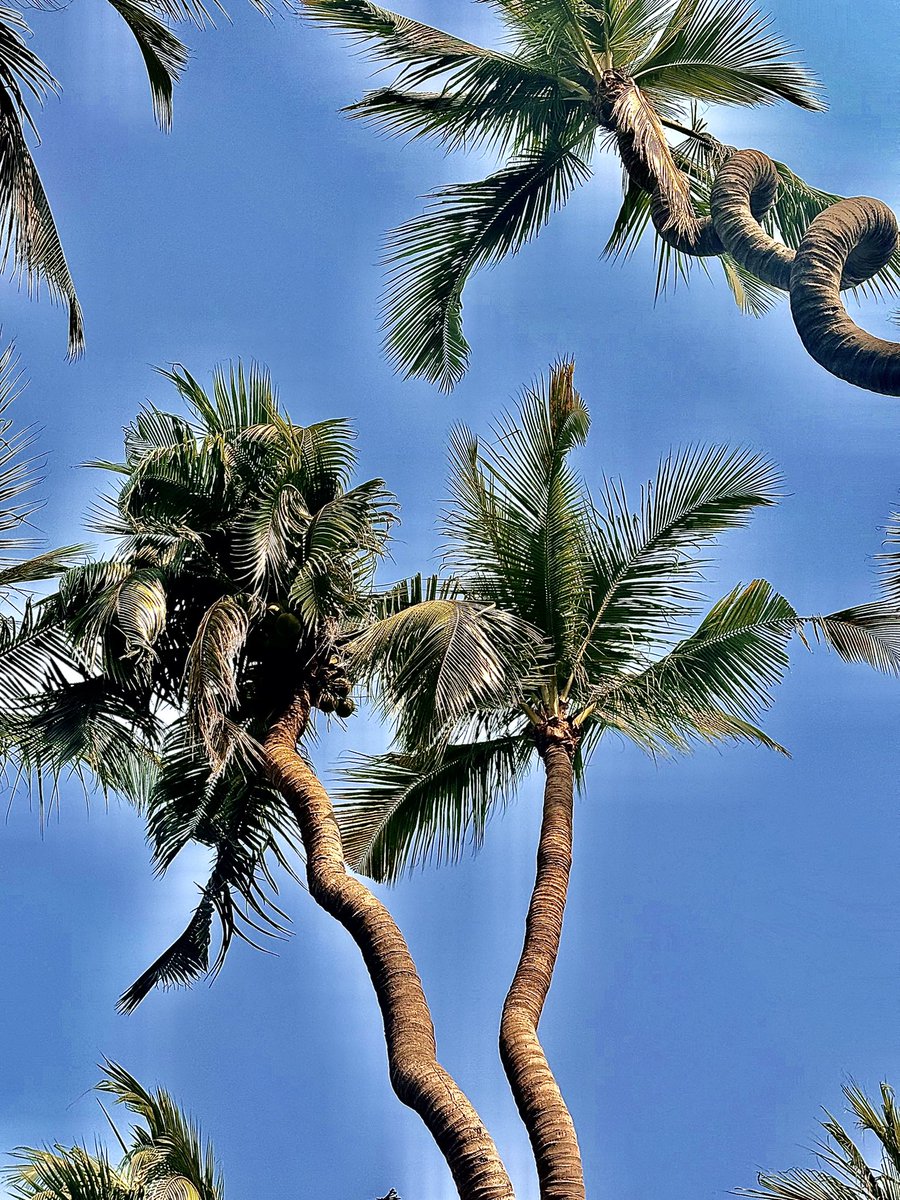 CryptoFerret tweet media