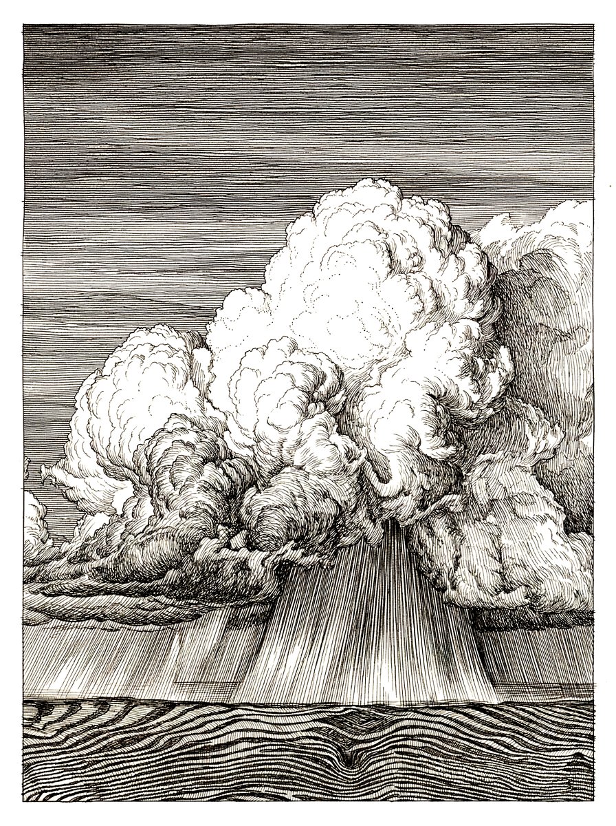 🍌🦍mattwilson ☁️☁️🐰 tweet media