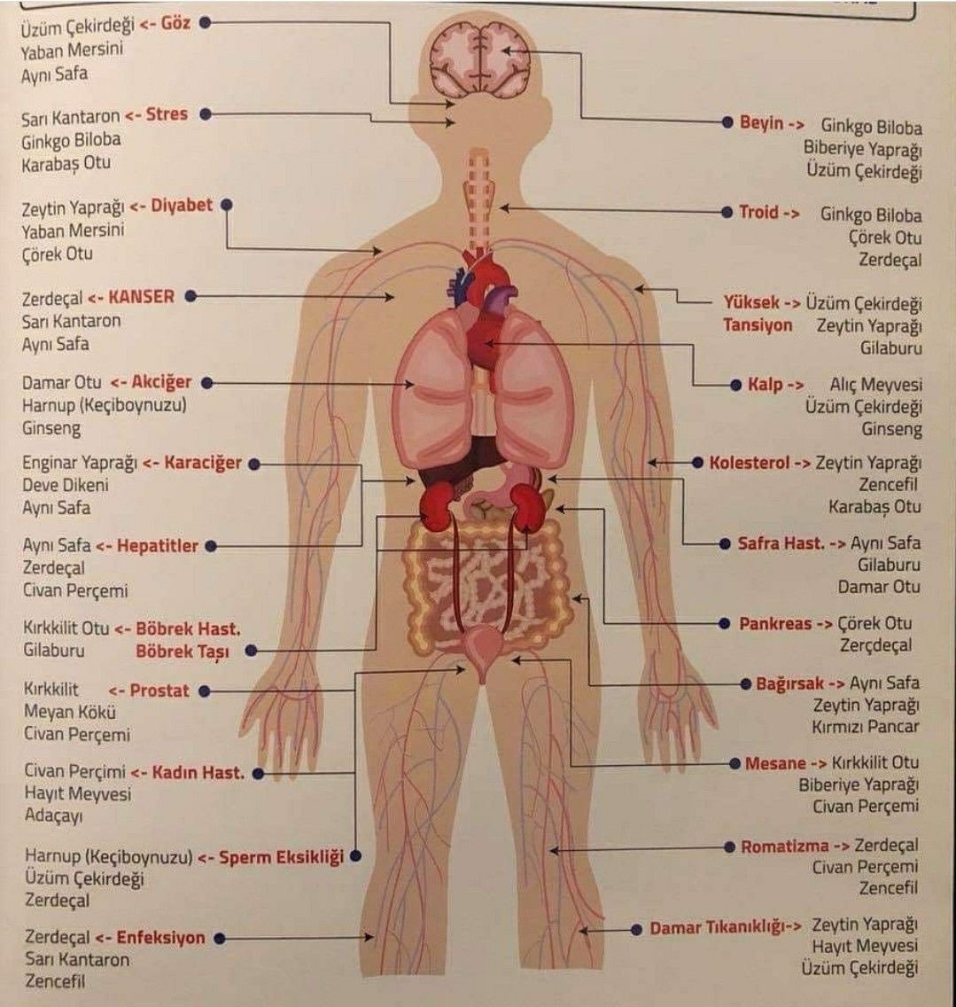Pharmyna tweet media