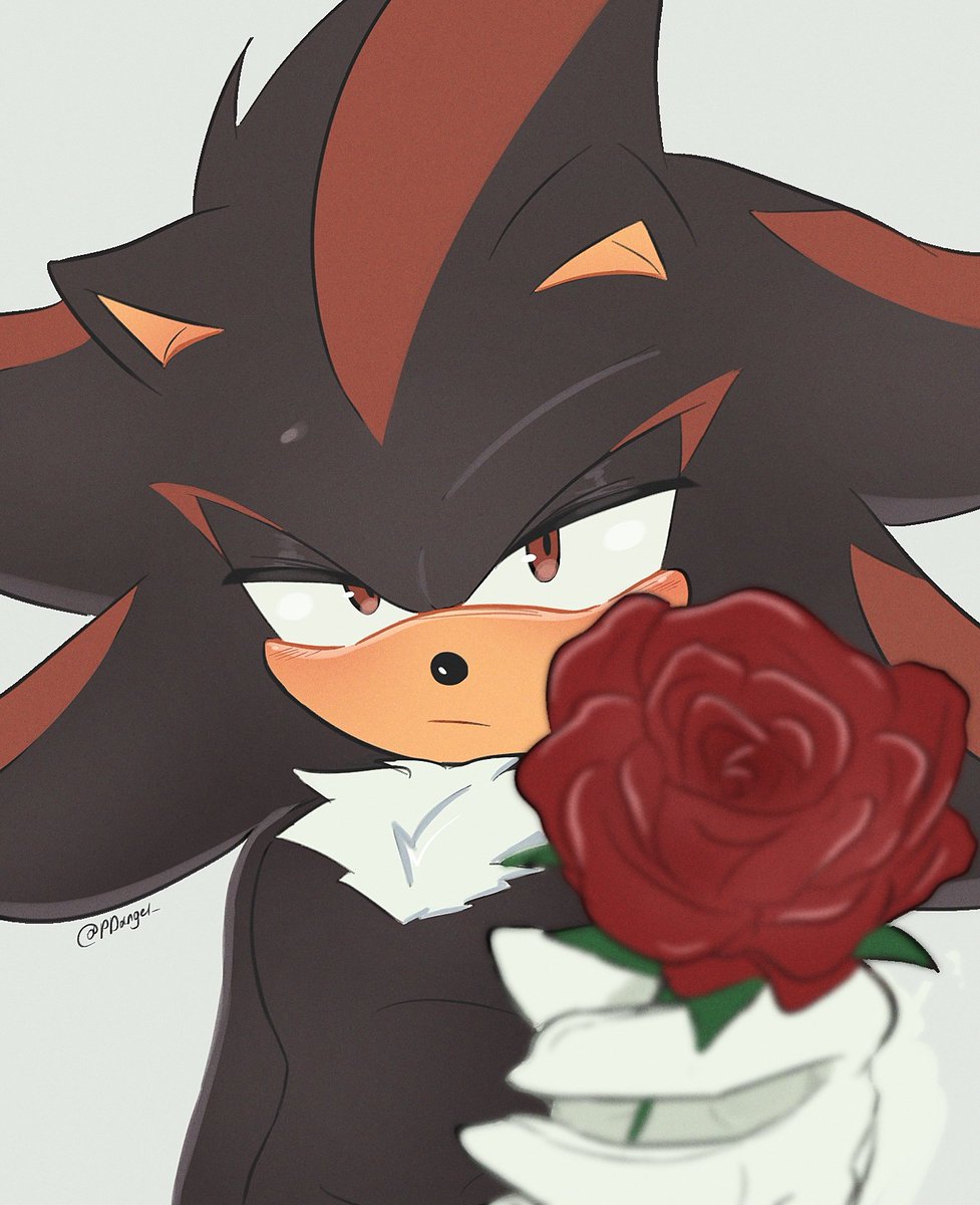 Any(Comms closed) tweet media