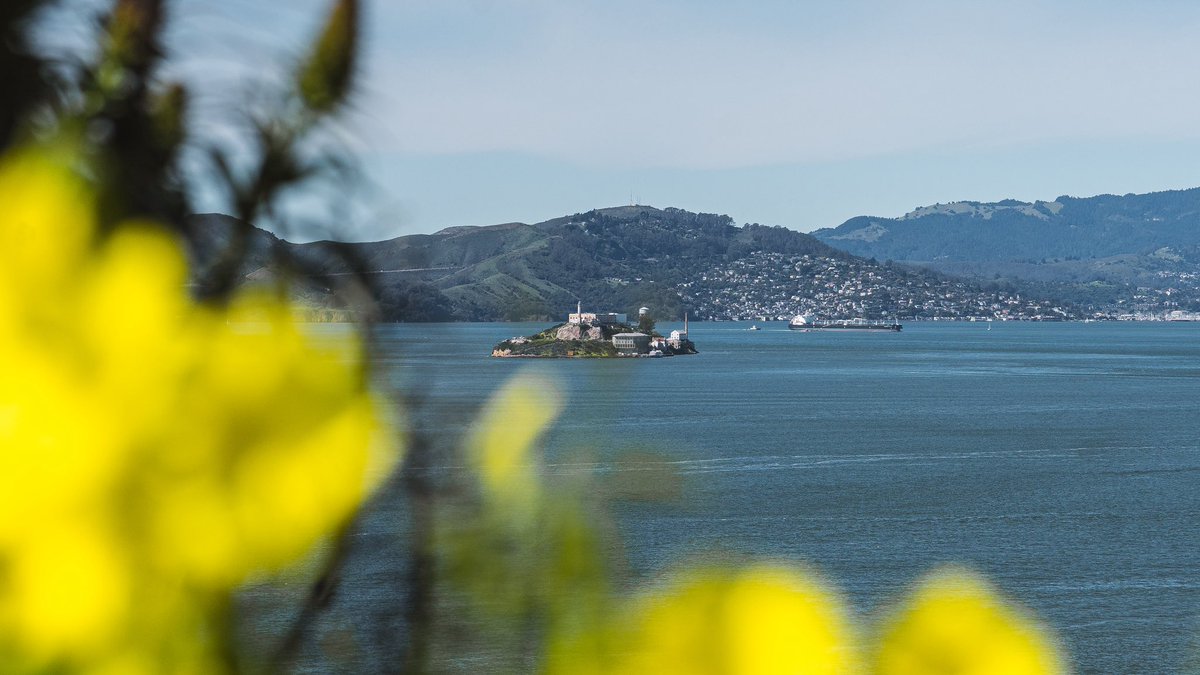 CalFootball's tweet image. Another day in the Bay ☀️

#GoBears