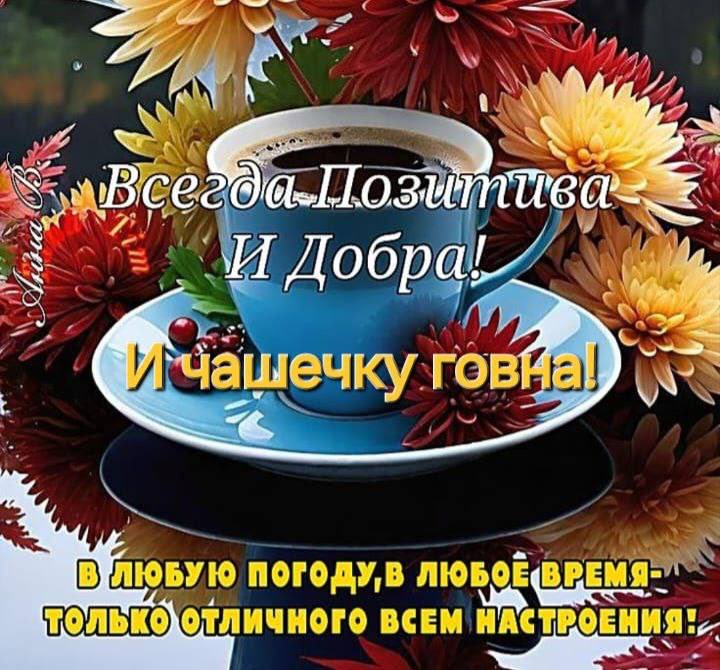 Raisa__05's tweet photo. Ну что напоследок скажу. Спасибо Карин, что не поставила в этом году невероятно охеренную песню (в моём предпочтении), чтобы я кусала локти

Со спокойной мыслью, прощаюсь в этом году с этим цирком. Возможно приду с одним «фи-твиттом» после финала Евро, но это не точно https://t.co/uRsQ2tyJbK