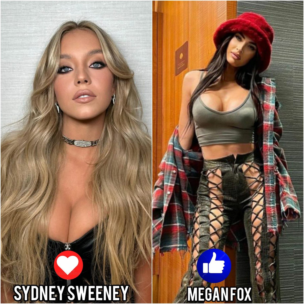 AlphaFox tweet media