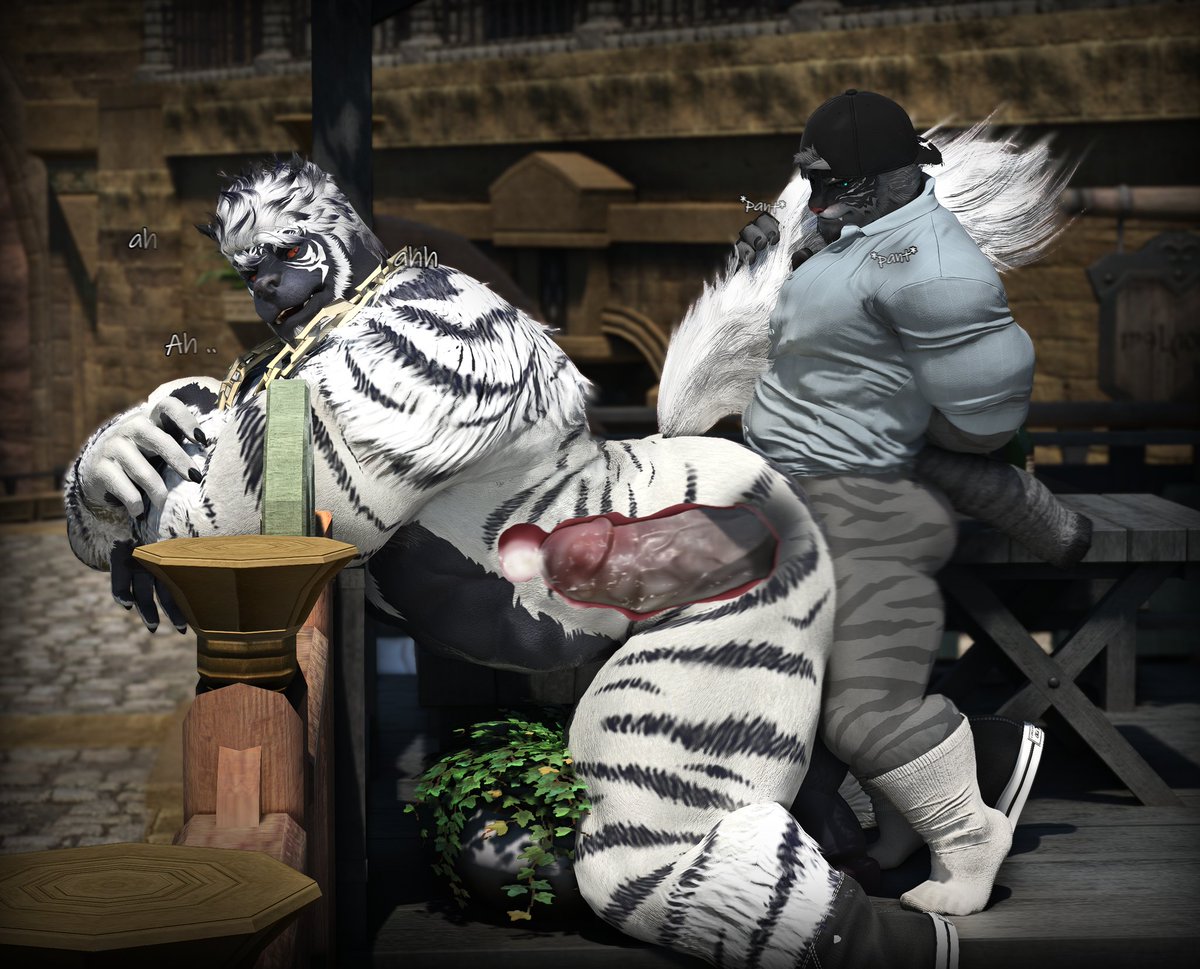 🍉 Matt tweet media