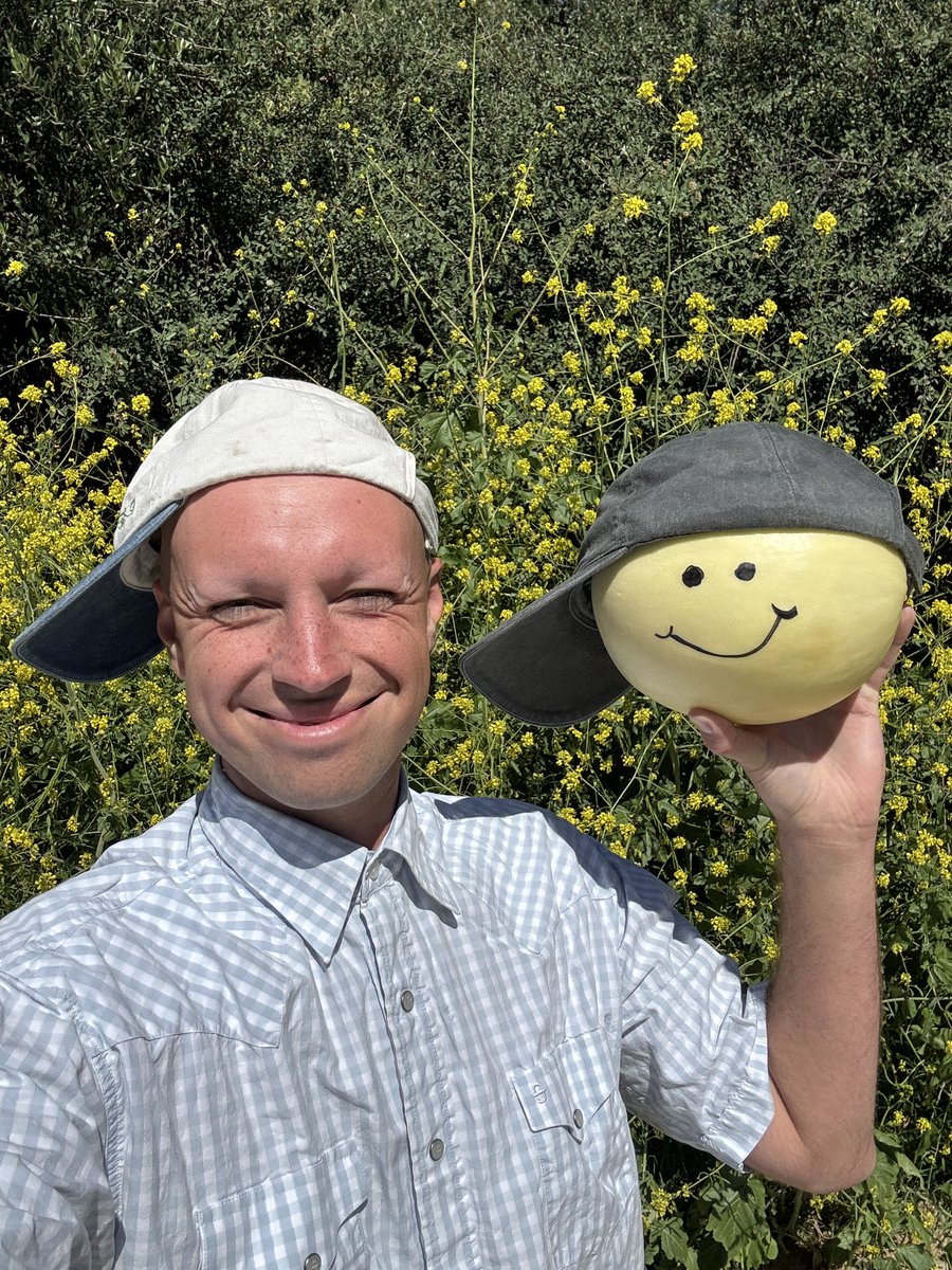 Daniel Hentschel tweet media