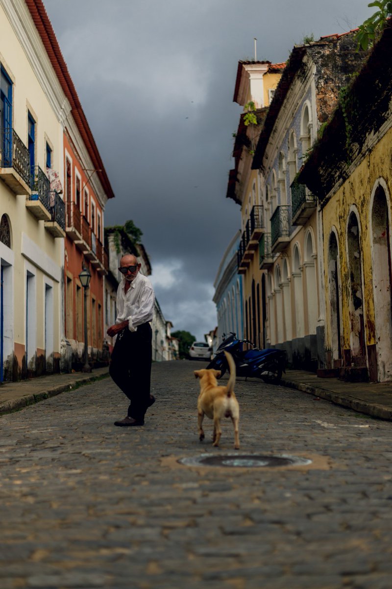 Alan Rodrigues 📸 tweet media