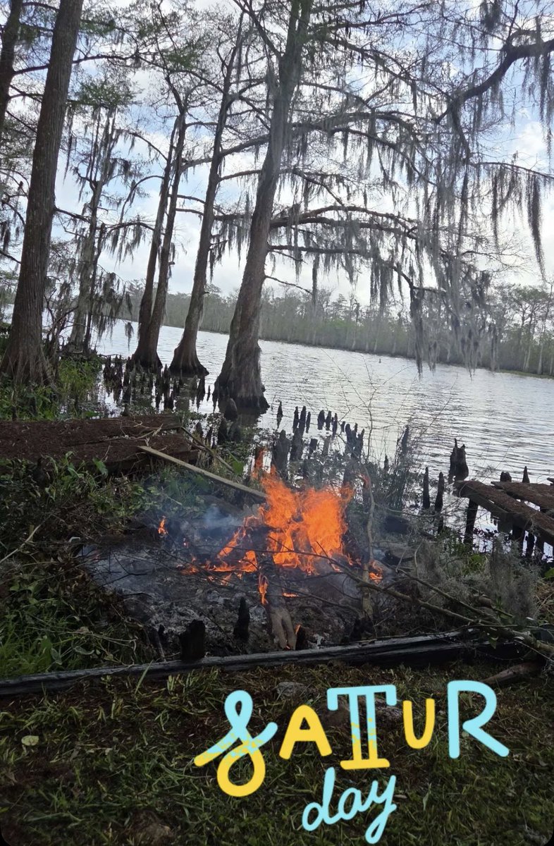 Leesha Lynette tweet media