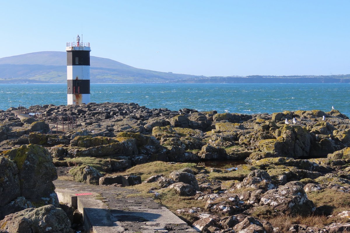 Rathlin Stickybeak tweet media