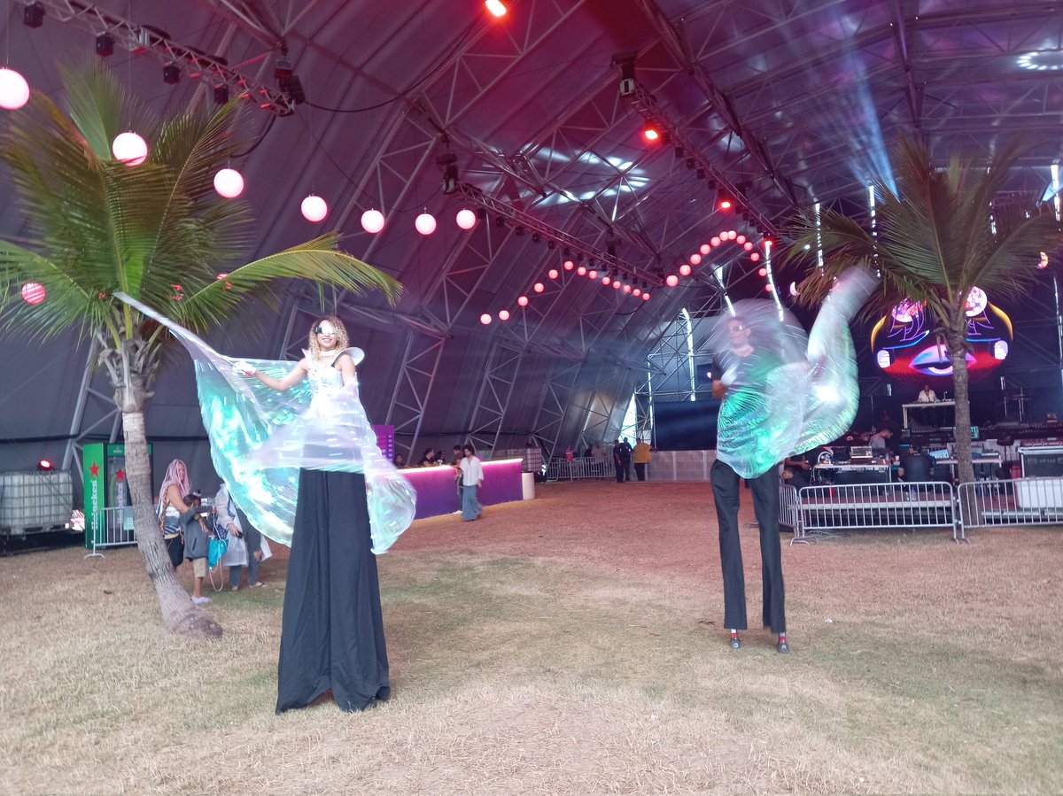 Discolai está de Vuelta! tweet media