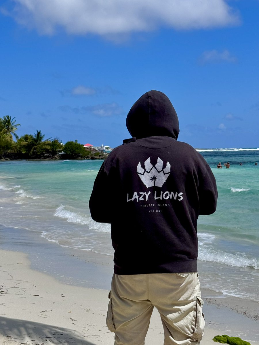 ManuLion.eth tweet media