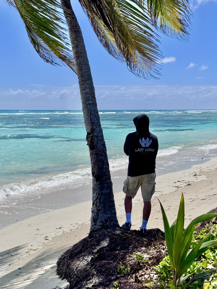 ManuLion.eth tweet media