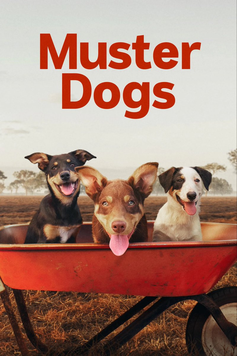 TweetTreet's tweet image. I was looking for an appropriate documentary to watch with the kids around and was scrolling ABC (Australia) and found #MusterDogs
I purely chose it bc it was family-friendly and ended up becoming hooked! What a fantastic, wholesome show #ABCAustralia