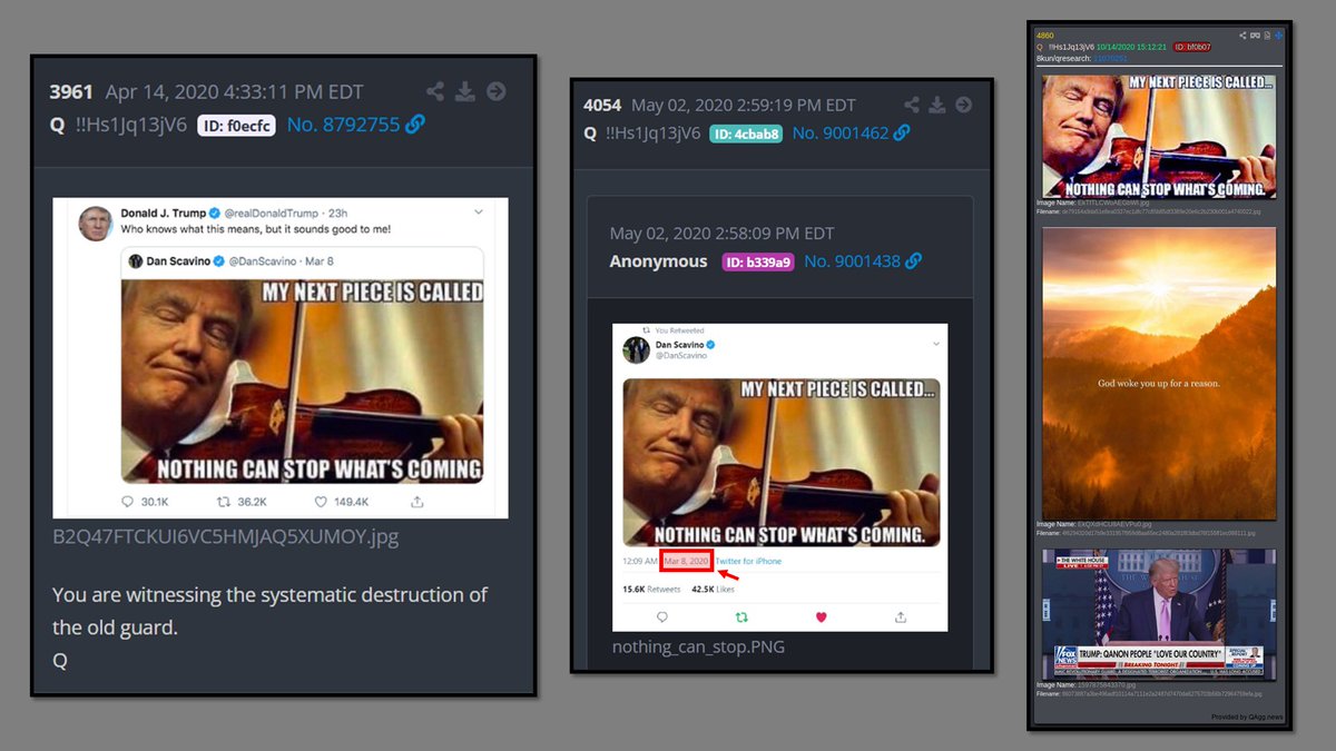 JustLikeGizmo tweet media