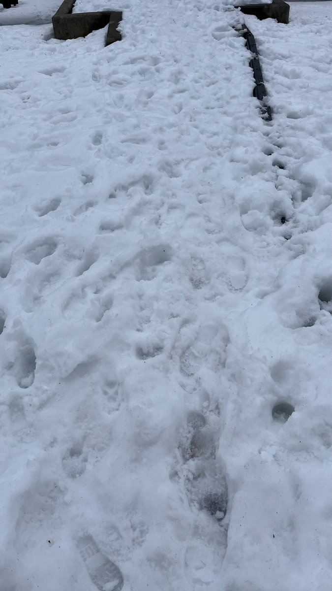 Валера Конахи tweet media