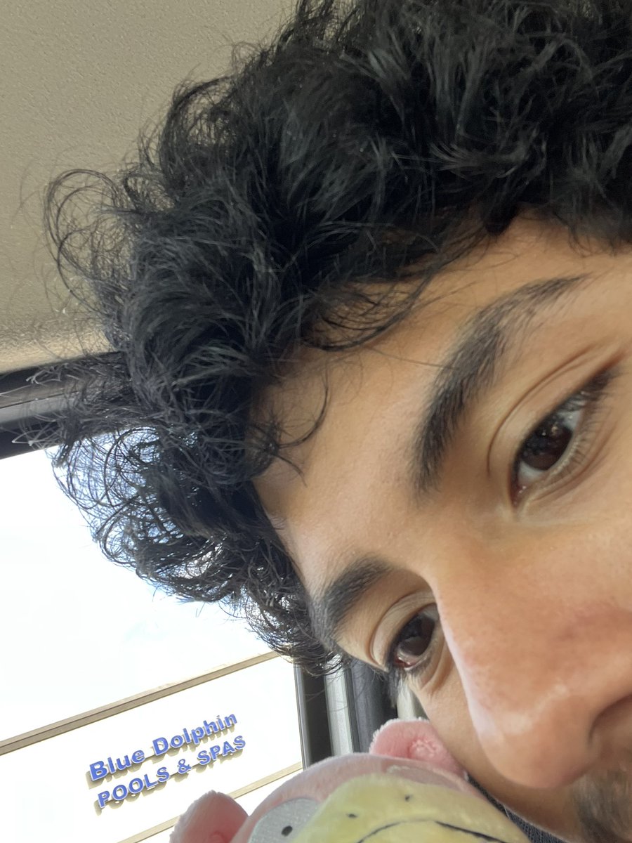 shortkingtaco's tweet photo. A new cutie to add to my collection :)) https://t.co/GnJr1AwPoY
