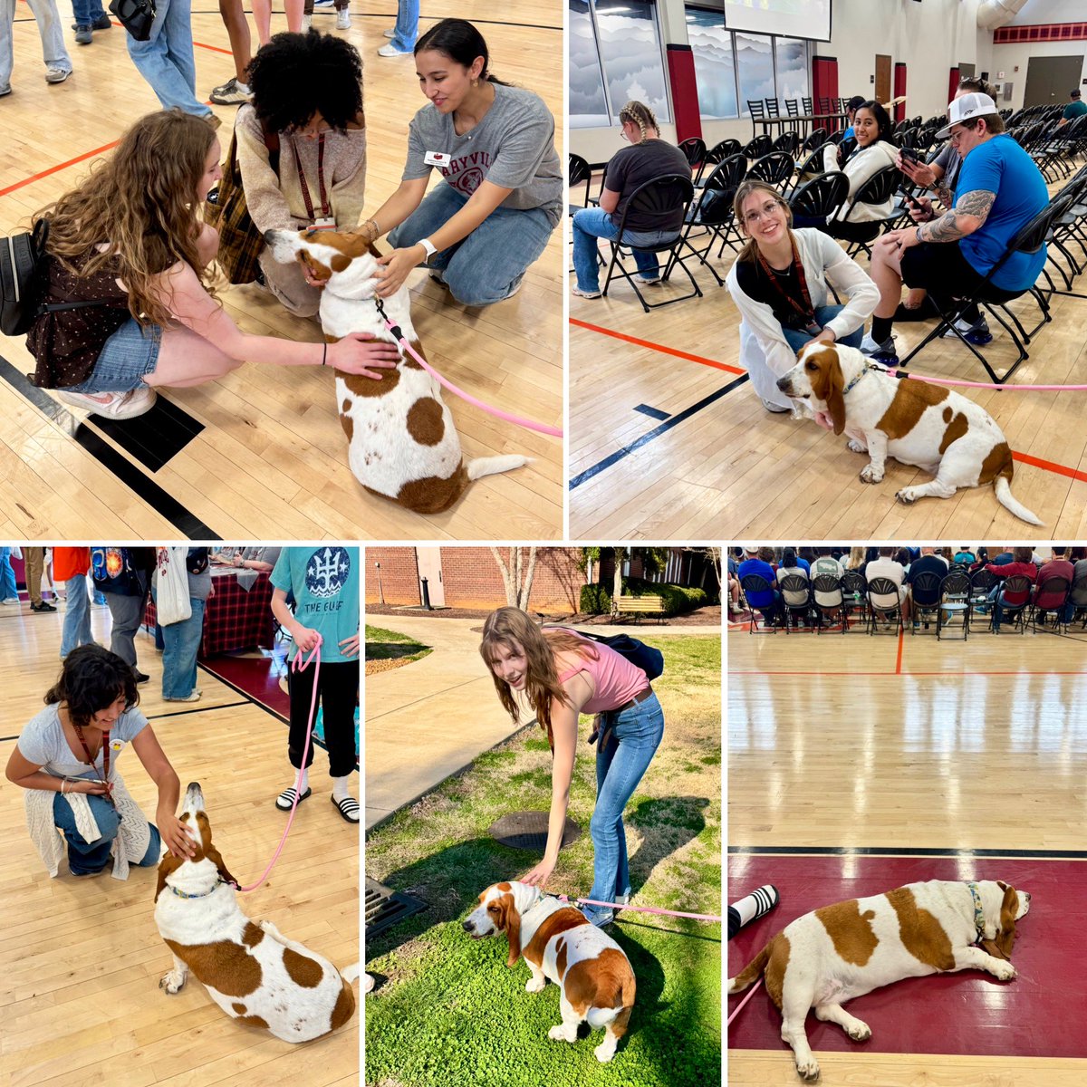 𝘽𝙧𝙮𝙖𝙣 𝙁 𝘾𝙤𝙠𝙚𝙧 tweet media