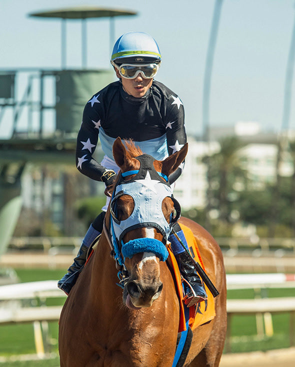 Brian Beach tweet media