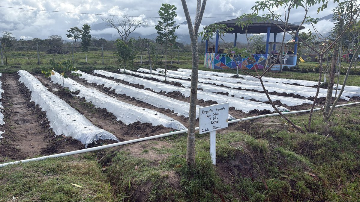 CamiIsaR's tweet photo. Está es una escuela publica en San Esteban, Olancho, donde con mucho esfuerzo atendemos a 300 familias todos los años. Que satisfacción ver este lugar crecer y mejorar todos los años! Un gran proyecto de @HOI! https://t.co/jj0zkWmRcD