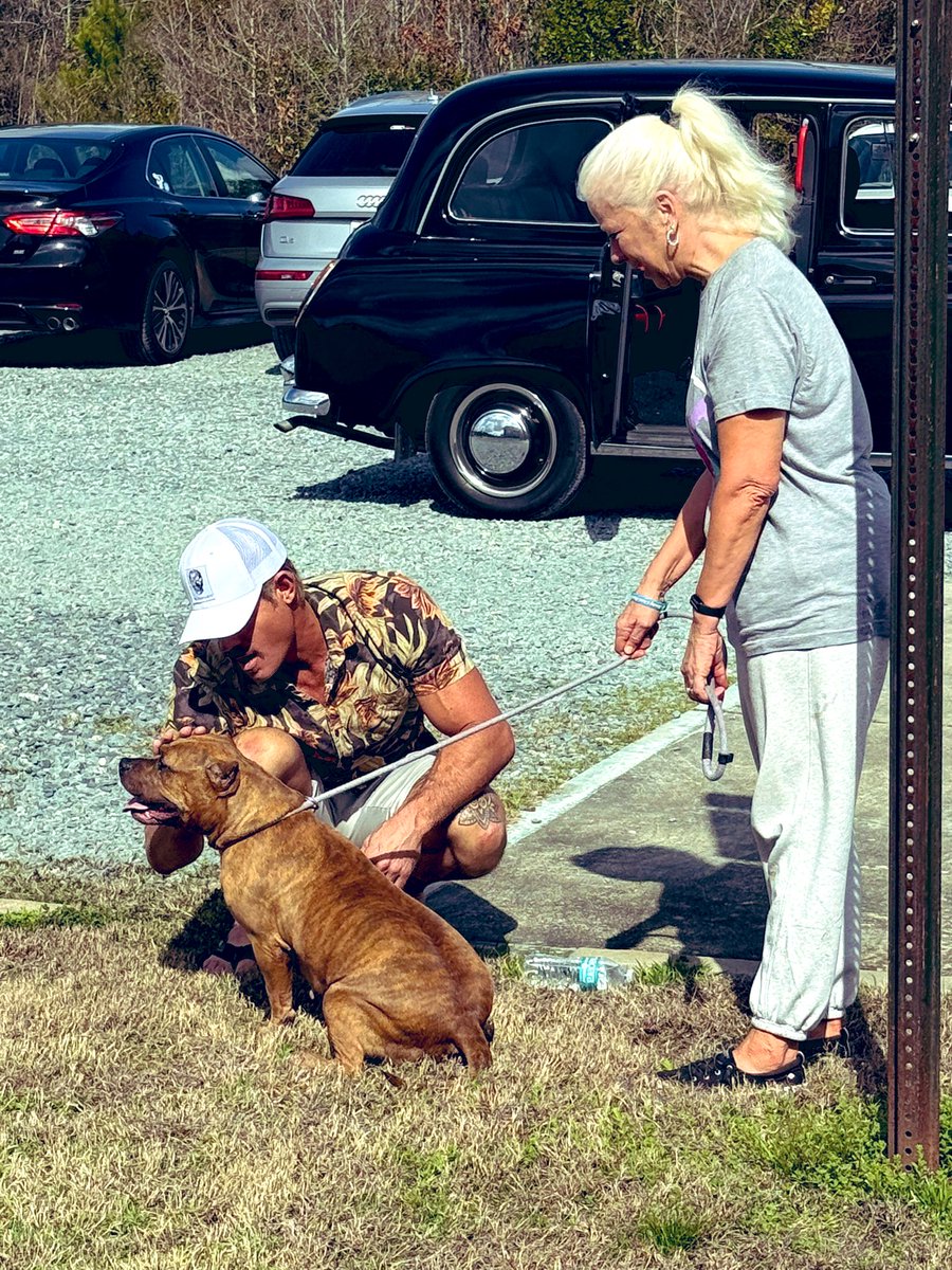 Tracie K tweet media