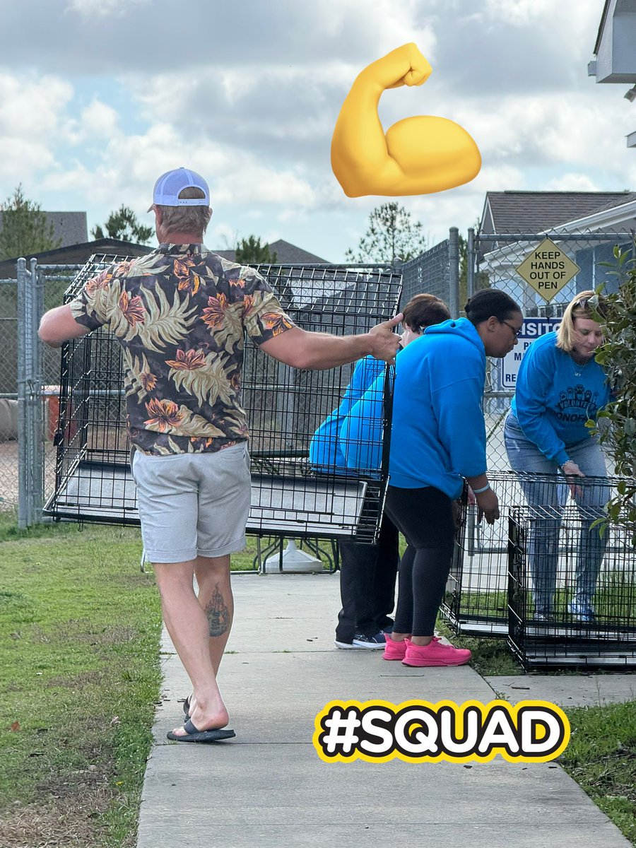 Tracie K tweet media