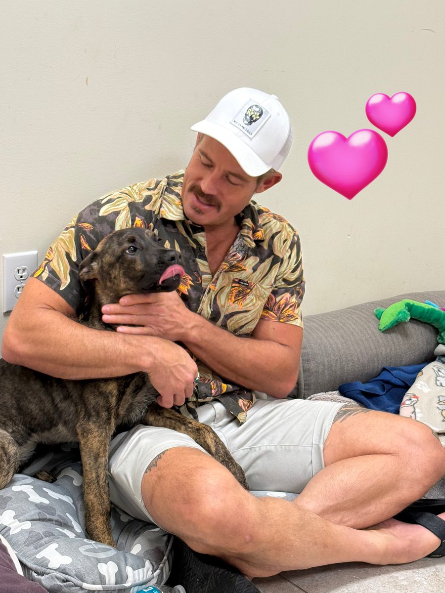 Tracie K tweet media