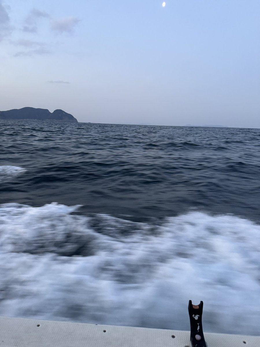 hantoton's tweet photo. おはようございます🌞
🛥️🎣行ってきま〜す😁 https://t.co/KWemWXU8a9