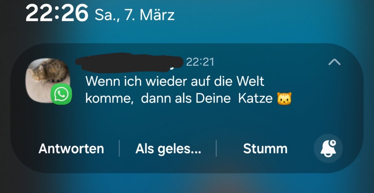 Bonuspapa mega süß😍❣️🫶