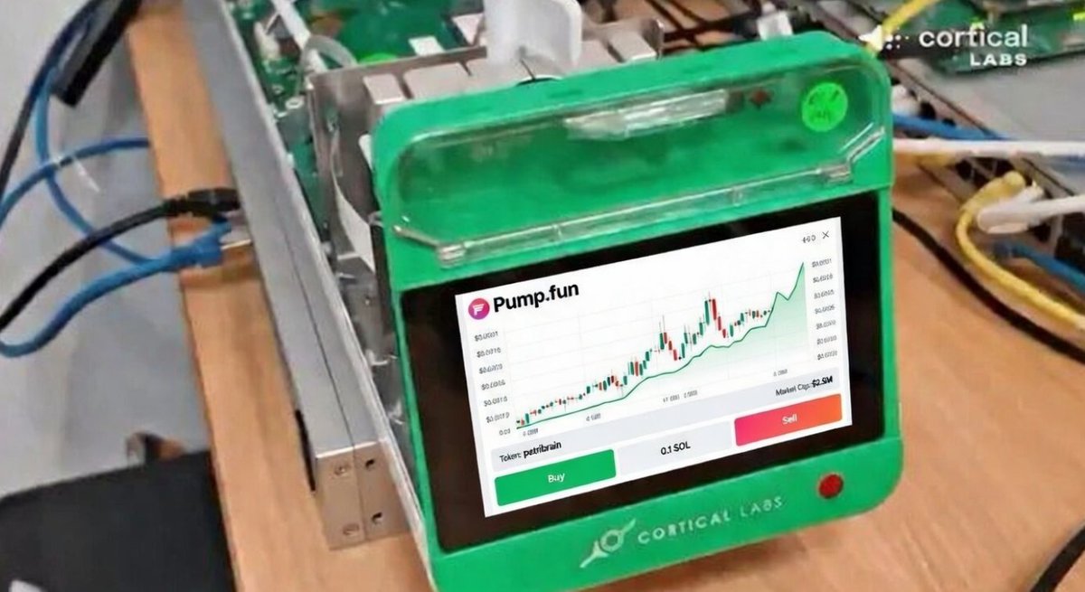 natealex tweet media